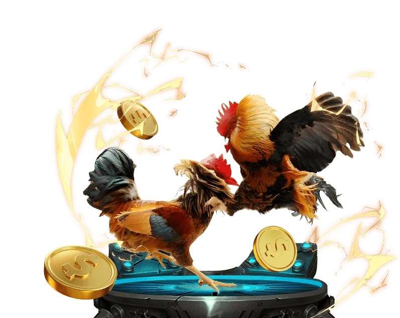 Hướng dẫn tìm kiếm trận đấu đá gà